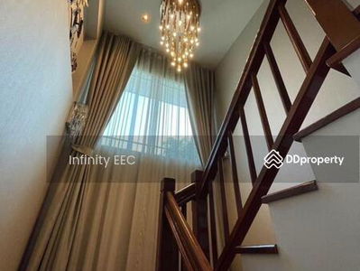 Single house for rent, Nantawan-Suvarnabhumi project, Bang Phli, good location with garden floor, Samut Prakan., Thailand Single house for rent, Nantawan-Suvarnabhumi project, Bang Phli, good location with garden floor, Samut Prakan., Thailand