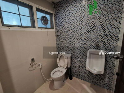Single house for rent in Soi Sukhumvit 20. (SPSAM872), Bangkok., Thailand Single house for rent in Soi Sukhumvit 20. (SPSAM872), Bangkok., Thailand
