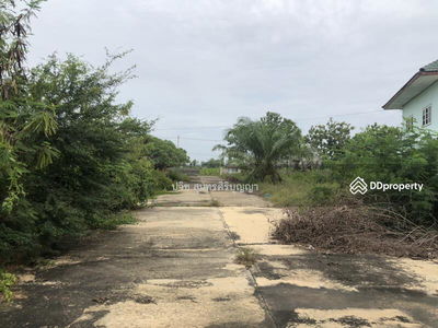 Warehouse with land for rent, Thung Luk Nok, Kamphaeng Saen 73140, Nakhon Pathom, Thailand Warehouse with land for rent, Thung Luk Nok, Kamphaeng Saen 73140, Nakhon Pathom, Thailand