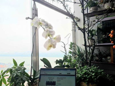 Sun Grand City Ancora Residence, Vietnam Sun Grand City Ancora Residence, Vietnam