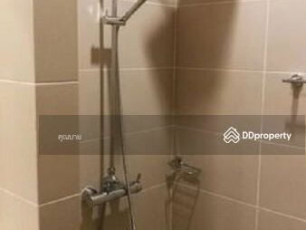 A2MG0267, Chiang Mai, Thailand A2MG0267, Chiang Mai, Thailand