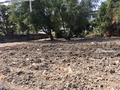 Land for rent, Soi Lasalle, Sukhumvit 105, Bangna, Bangkok, area 467 square wah, Bangkok, Thailand Land for rent, Soi Lasalle, Sukhumvit 105, Bangna, Bangkok, area 467 square wah, Bangkok, Thailand