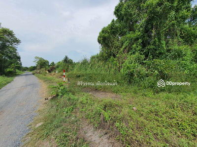 Empty land for rent, area 4, 8 rai, Suwinthawong 90, joint development, Nong Chok, can do agriculture, Bangkok, Thailand Empty land for rent, area 4, 8 rai, Suwinthawong 90, joint development, Nong Chok, can do agriculture, Bangkok, Thailand