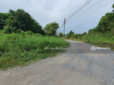 Empty land for rent, area 4, 8 rai, Suwinthawong 90, joint development, Nong Chok, can do agriculture, Bangkok, Thailand Empty land for rent, area 4, 8 rai, Suwinthawong 90, joint development, Nong Chok, can do agriculture, Bangkok, Thailand