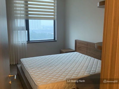 Green Stars, Vietnam  Green Stars, Vietnam