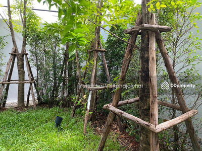 Quintara Phume Sukhumvit 39, Bangkok, Thailand Quintara Phume Sukhumvit 39, Bangkok, Thailand