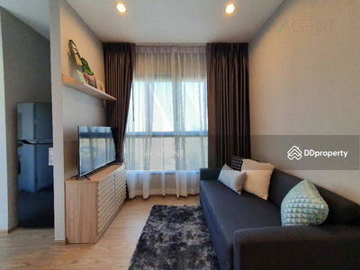 The Tree Hua Mak, Bangkok, Thailand The Tree Hua Mak, Bangkok, Thailand