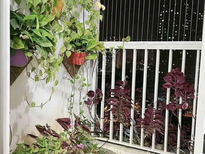 La Casta Van Phu, Vietnam La Casta Van Phu, Vietnam