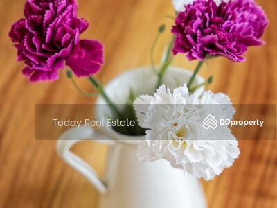 Gehäuse In Kathu, Thailand Gehäuse In Kathu, Thailand