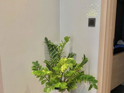 Citadines Marina Ha Long, Vietnam Citadines Marina Ha Long, Vietnam