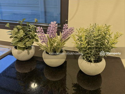 Centro Bangna Km.7, Samut Prakan, Thailand Centro Bangna Km.7, Samut Prakan, Thailand