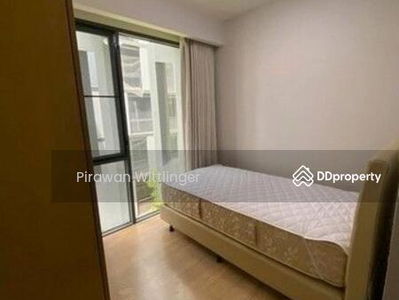 Siamese Gioia, Bangkok, Thailand Siamese Gioia, Bangkok, Thailand