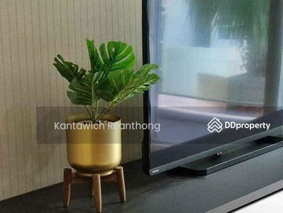 Mayfair Place Sukhumvit 64, Bangkok, Thailand Mayfair Place Sukhumvit 64, Bangkok, Thailand