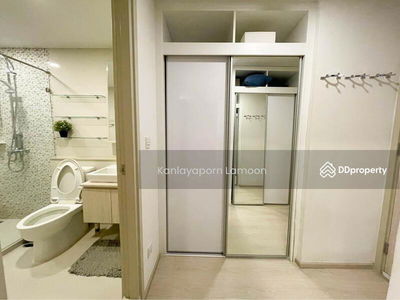 The Tree Sukhumvit 64, Bangkok, Thailand The Tree Sukhumvit 64, Bangkok, Thailand