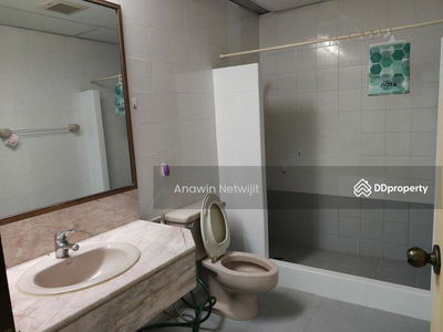 Lumpini Park View, Bangkok, Thailand Lumpini Park View, Bangkok, Thailand