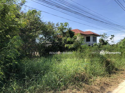 Empty land for rent, 200 square meters, Soi 9/1, Khlong Sam Road, Pathum Thani., Thailand Empty land for rent, 200 square meters, Soi 9/1, Khlong Sam Road, Pathum Thani., Thailand