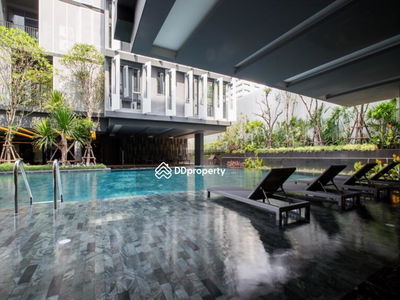 Siamese Gioia, Bangkok, Thailand Siamese Gioia, Bangkok, Thailand