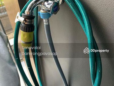 Life Sukhumvit 62, Bangkok, Thailand Life Sukhumvit 62, Bangkok, Thailand