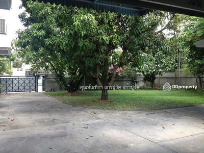 Single house, Sukhumvit 71, Bangkok, Thailand Single house, Sukhumvit 71, Bangkok, Thailand