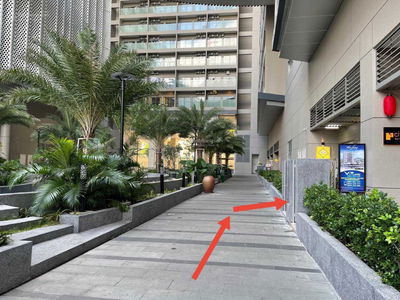 The Song, Vietnam The Song, Vietnam