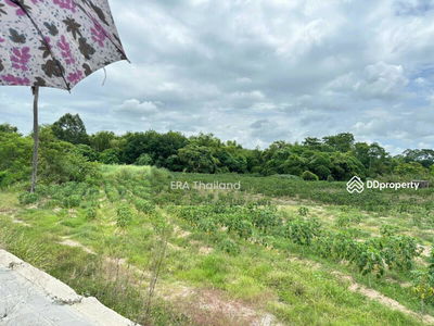 L079866 Empty land for sale, land size 8-0-39.00 rai, Bang Lamung, Chon Buri, Chon Buri, Thailand L079866 Empty land for sale, land size 8-0-39.00 rai, Bang Lamung, Chon Buri, Chon Buri, Thailand