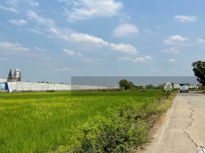 Land for rent, Khlong Khoi, Pak Kret, 6-1-67.8 rai, Nonthaburi., Thailand Land for rent, Khlong Khoi, Pak Kret, 6-1-67.8 rai, Nonthaburi., Thailand