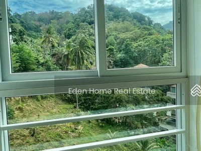 Cozy Jungle view studio for Rent, Phuket, Thailand Cozy Jungle view studio for Rent, Phuket, Thailand