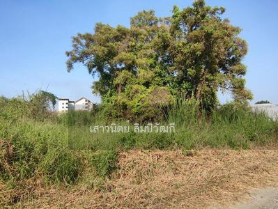 Khu Khot, Pathum Thani, Thailand Khu Khot, Pathum Thani, Thailand