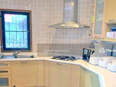 Guppy Tree Tunnel, Pak Chong, Nakhon Ratchasima, Thailand Guppy Tree Tunnel, Pak Chong, Nakhon Ratchasima, Thailand