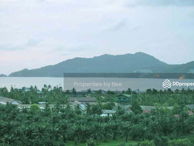 Patong, Phuket, Thailand Patong, Phuket, Thailand