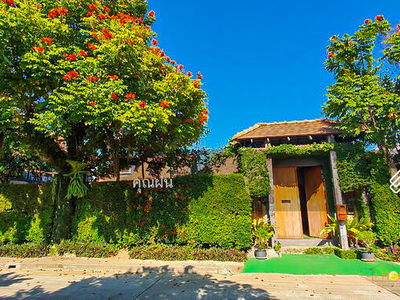 A8MG1728, Chiang Mai, Thailand A8MG1728, Chiang Mai, Thailand