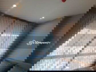 The Tree Hua Mak, Bangkok, Thailand The Tree Hua Mak, Bangkok, Thailand