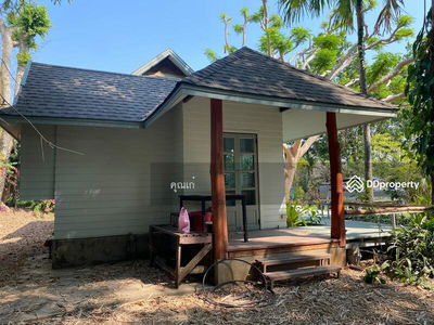 Жилье в Chiang Mai, Thailand Жилье в Chiang Mai, Thailand