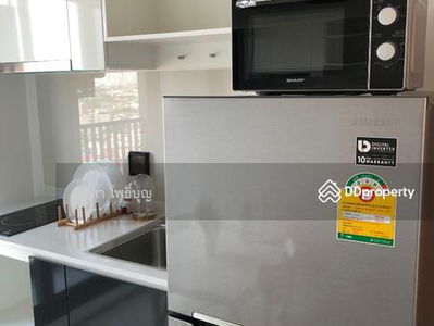 The Tree Sukhumvit 71-Ekamai, Bangkok, Thailand The Tree Sukhumvit 71-Ekamai, Bangkok, Thailand