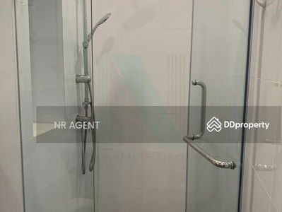 Brixton Pet & Play Sukhumvit 107, Samut Prakan, Thailand Brixton Pet & Play Sukhumvit 107, Samut Prakan, Thailand