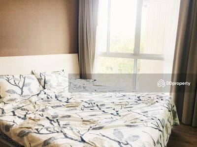 Housing in Kathu, Thailand Housing in Kathu, Thailand