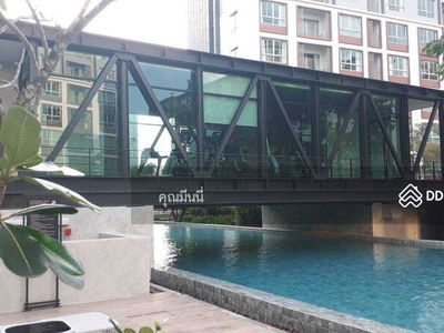 A4MG1128, Chiang Mai, Thailand A4MG1128, Chiang Mai, Thailand