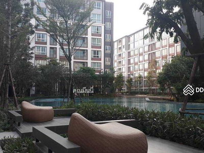 A4MG1128, Chiang Mai, Thailand A4MG1128, Chiang Mai, Thailand