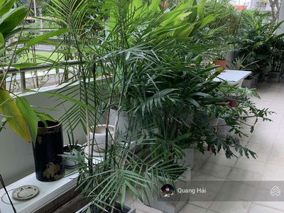 Riverpark Residence, Vietnam  Riverpark Residence, Vietnam