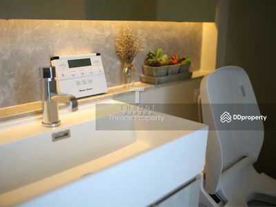 The Lumpini 24, Bangkok, Thailand The Lumpini 24, Bangkok, Thailand