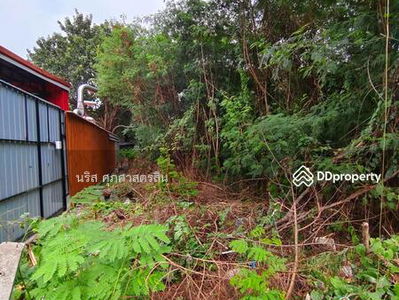 Vacant land, Sridan 5, Samut Prakan, Thailand Vacant land, Sridan 5, Samut Prakan, Thailand