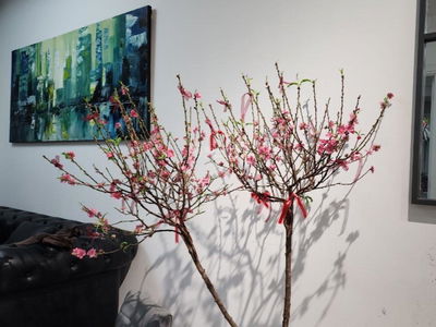 The Monarchy, Vietnam The Monarchy, Vietnam