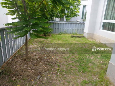 Nakhon Ratchasima, Nakhon Ratchasima, Thailand Nakhon Ratchasima, Nakhon Ratchasima, Thailand