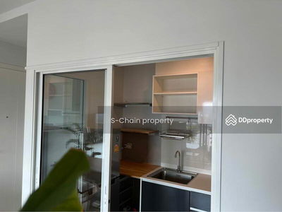 The Tree Sukhumvit 71-Ekamai, Bangkok, Thailand The Tree Sukhumvit 71-Ekamai, Bangkok, Thailand