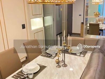 Siamese Exclusive Queens, Bangkok, Thailand Siamese Exclusive Queens, Bangkok, Thailand