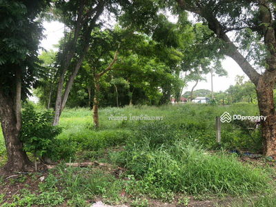 Land for rent Pracha Ruam Jai 49, Bangkok, Thailand Land for rent Pracha Ruam Jai 49, Bangkok, Thailand