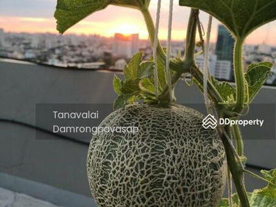 The Vertical Aree, Bangkok, Thailand The Vertical Aree, Bangkok, Thailand