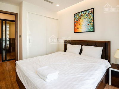 The Golden Armor, Vietnam The Golden Armor, Vietnam