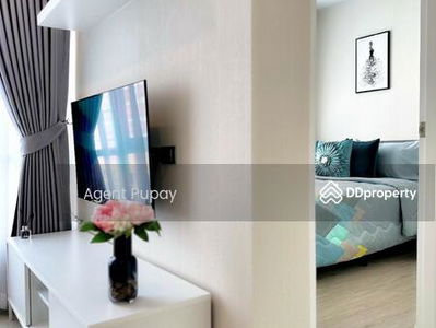 Condo for rent The Sky Sukhumvit. (SPSAM993), Bangkok, Thailand Condo for rent The Sky Sukhumvit. (SPSAM993), Bangkok, Thailand