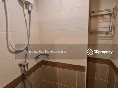 Lumpini Park Pinklao, Bangkok, Thailand Lumpini Park Pinklao, Bangkok, Thailand